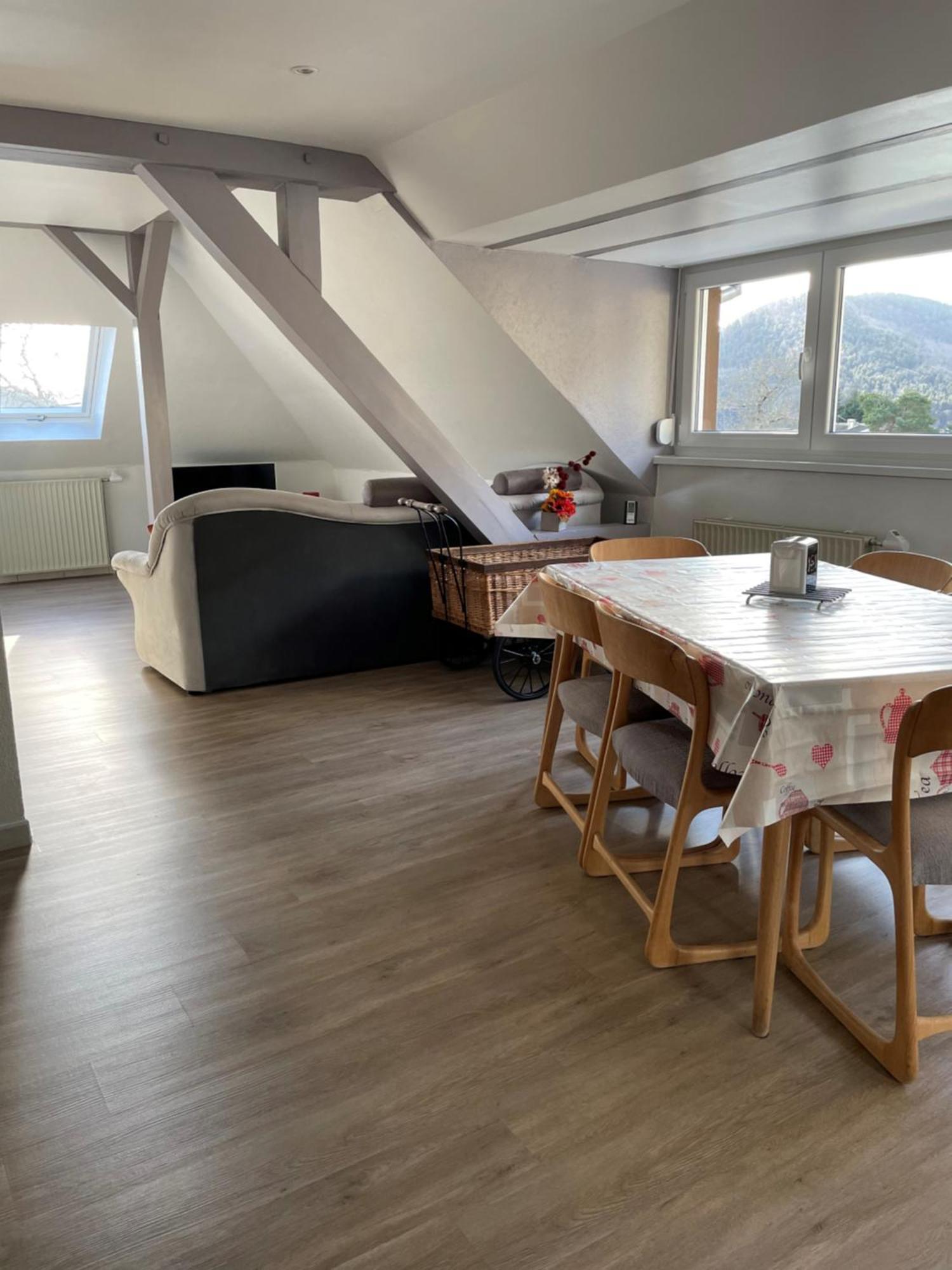 Gite Spacieux, Lumineux Et Tres Cosy Lautenbach 외부 사진